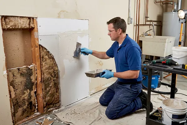 Mold and Drywall Repair San Jacinto