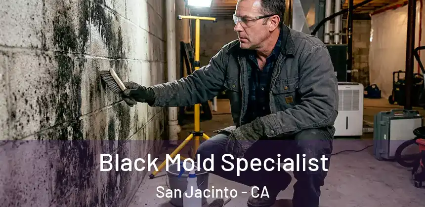 Black Mold Specialist San Jacinto - CA