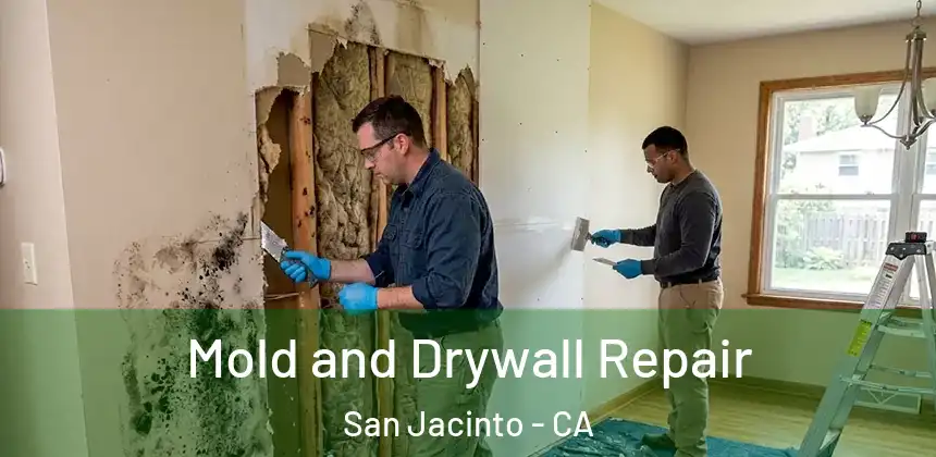  Mold and Drywall Repair San Jacinto - CA