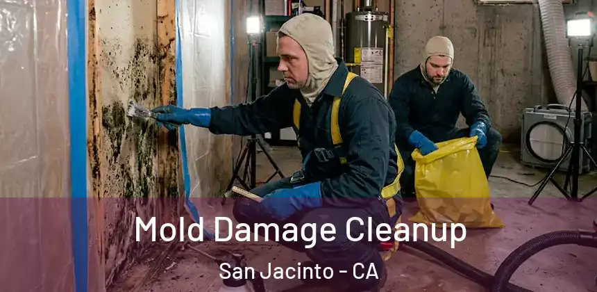  Mold Damage Cleanup San Jacinto - CA