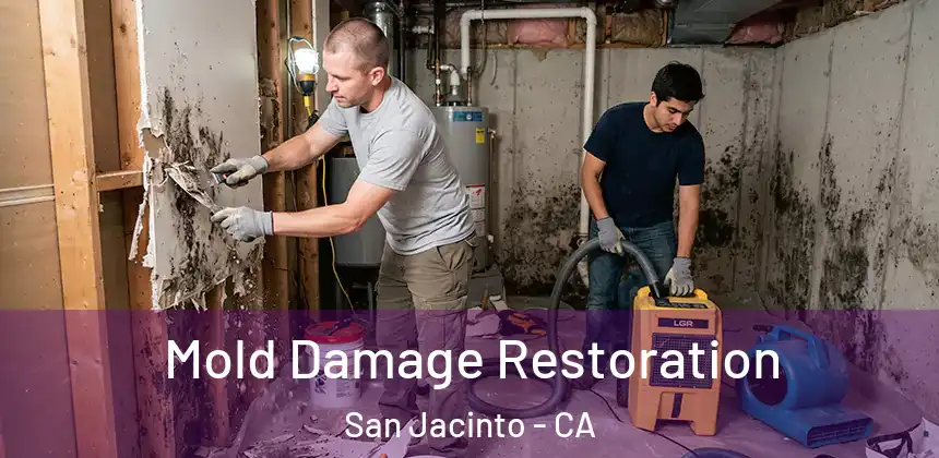 Mold Damage Restoration San Jacinto - CA