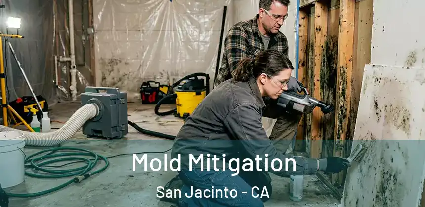 Mold Mitigation San Jacinto - CA