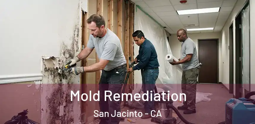  Mold Remediation San Jacinto - CA