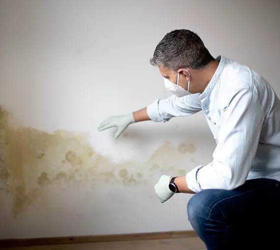 Mold Removal Service in San Jacinto, CA
